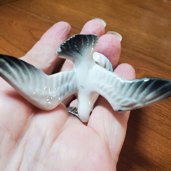 Seagull Collection - Picture 9 of 16